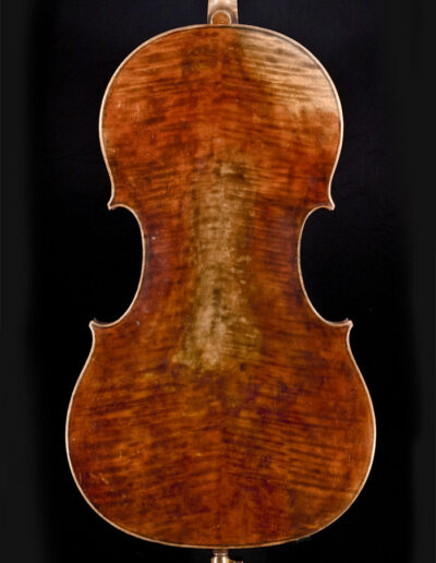 Cello 2013 hinten