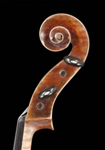Cello 2013 Schnecke Seite