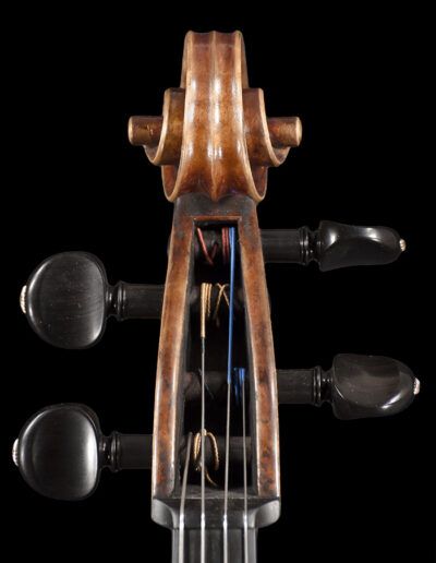 Cello 2013 Schnecke vorne