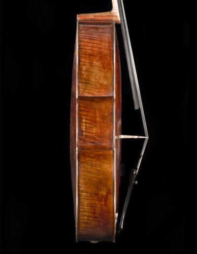 Cello 2013 Seite