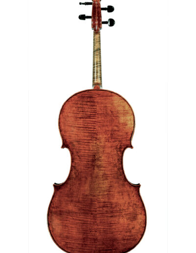 Cello 2019
