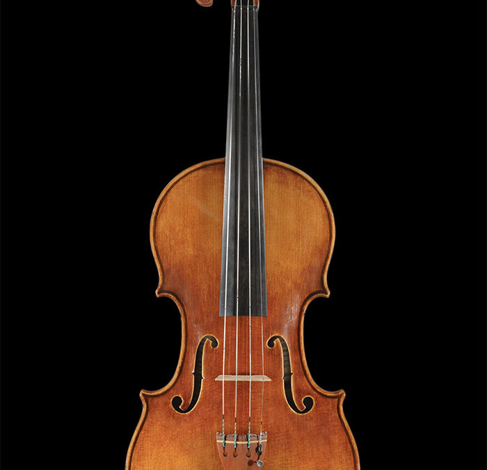 Violine 2015