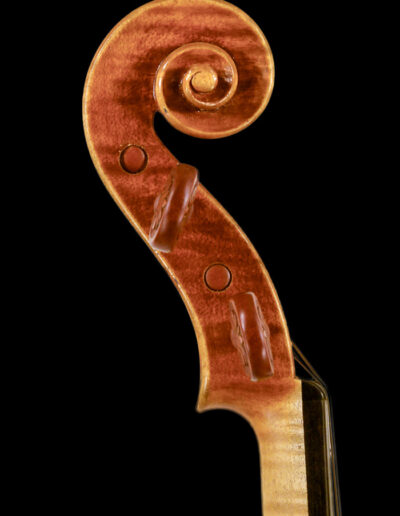 Violine 2015 Dietmar Rexhausen